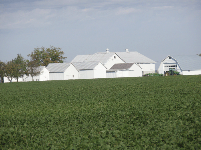 Roofs with Columbia Sterling Aluminum Fibre Coating - After 15 Years